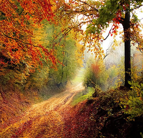 Automne